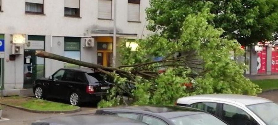 Šteta nakon oluje: Drvo vam je palo na auto? Evo što napraviti
